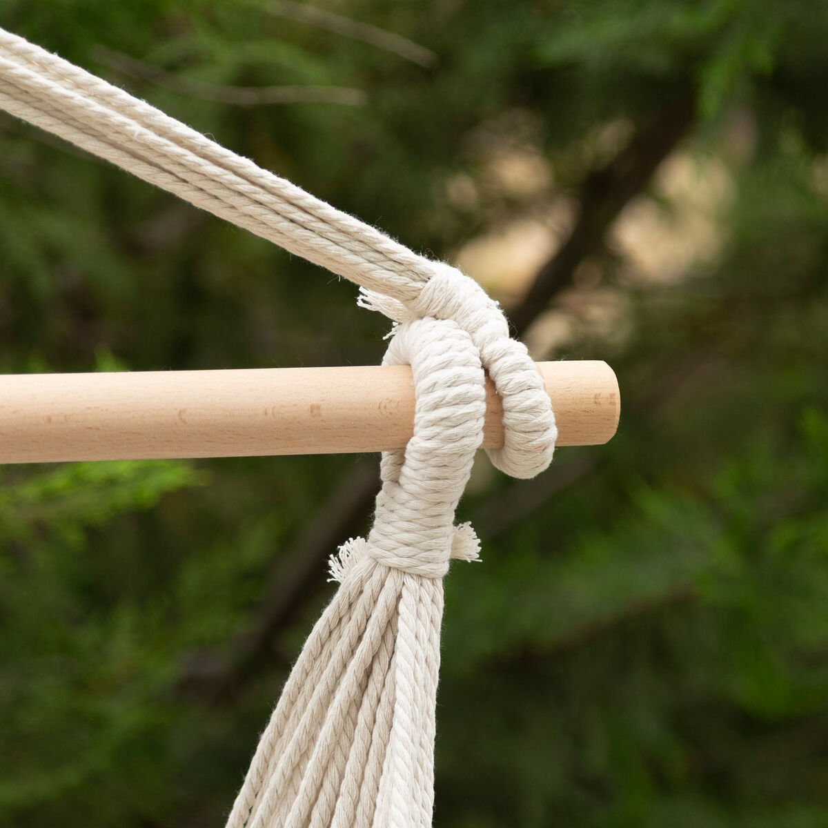 V4H93BA8A99A14CA2FEBA41B97628E2D977R7356781P4